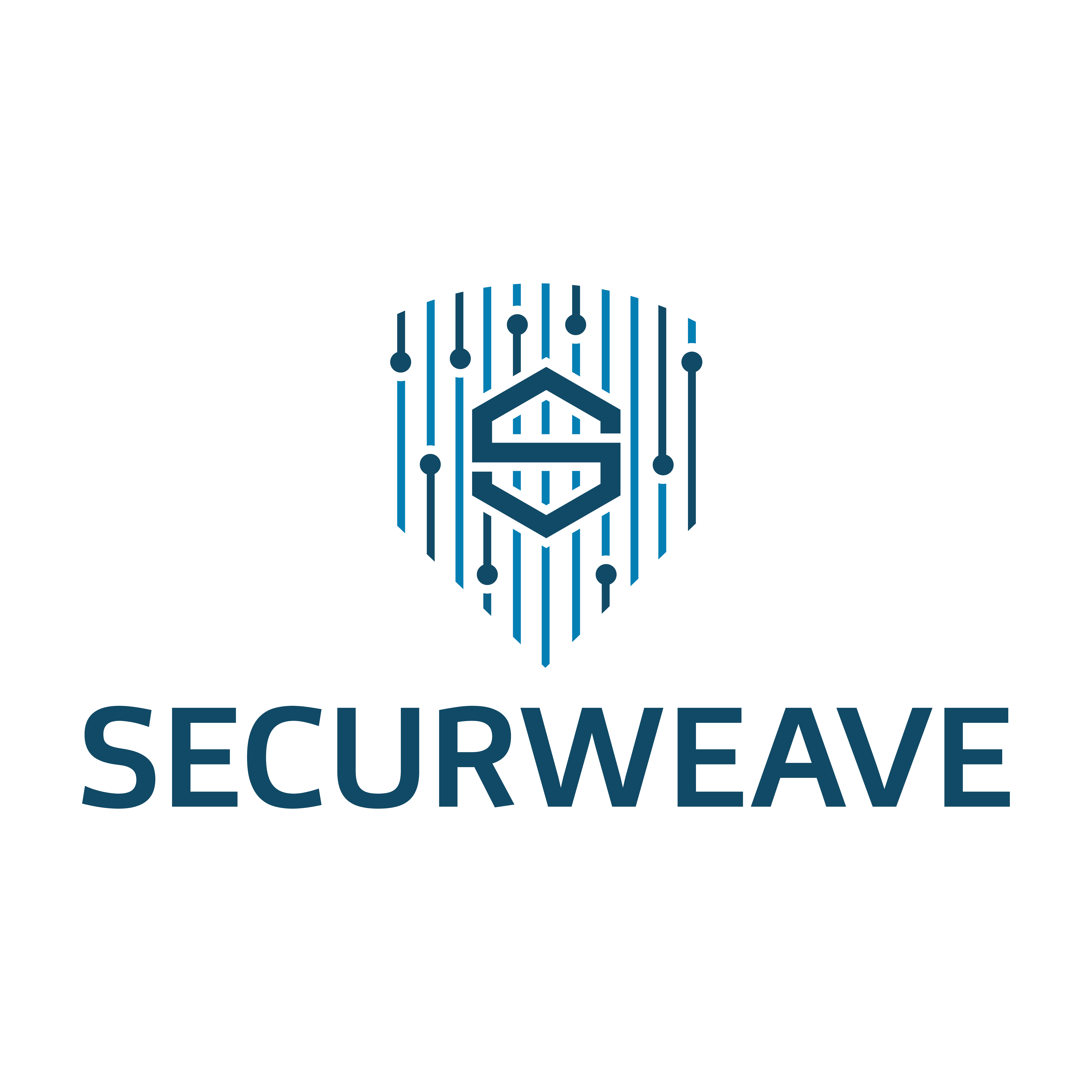 SECURWEAVE RAISES INR 2.8 CRORE IN SEED ROUND LED BY IAN